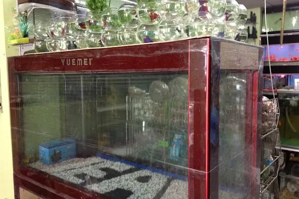 Enver Akvaryum PET Shop - Resim 12