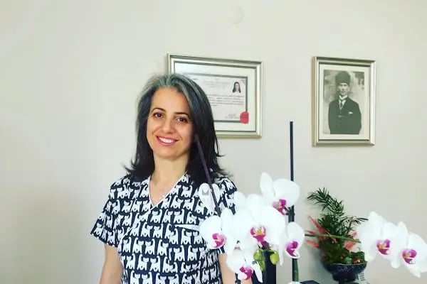 Dişhekimi Hülya Elmas Hantaş Muayenehanesi - Resim 6