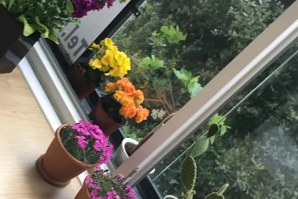 Dişhekimi Hülya Elmas Hantaş Muayenehanesi - Resim 14