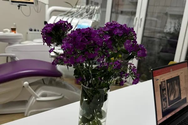 Dişhekimi Hülya Elmas Hantaş Muayenehanesi - Resim 7