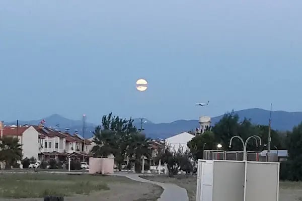 Orjan Tahta İskele Plajı - Resim 10