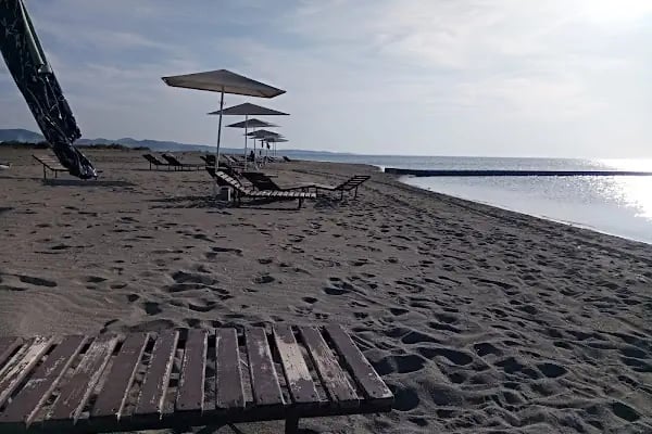 Orjan Tahta İskele Plajı - Resim 8