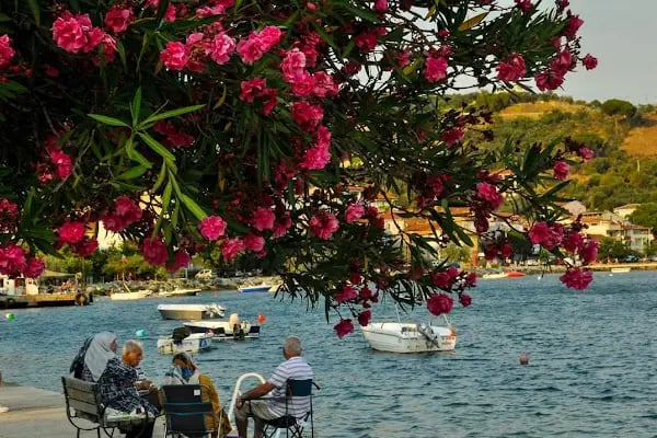 Karacaali Gençlik Ve İzcilik Eğitim Tesisi - Resim 12
