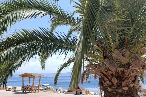 Karacaali Gençlik Ve İzcilik Eğitim Tesisi - Resim 8