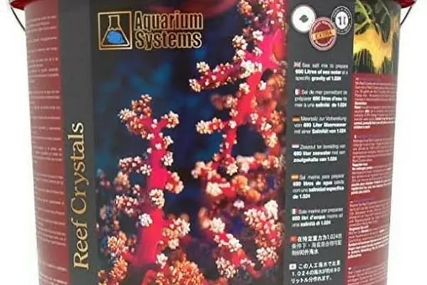 Deniz Akvaryum - Resim 10
