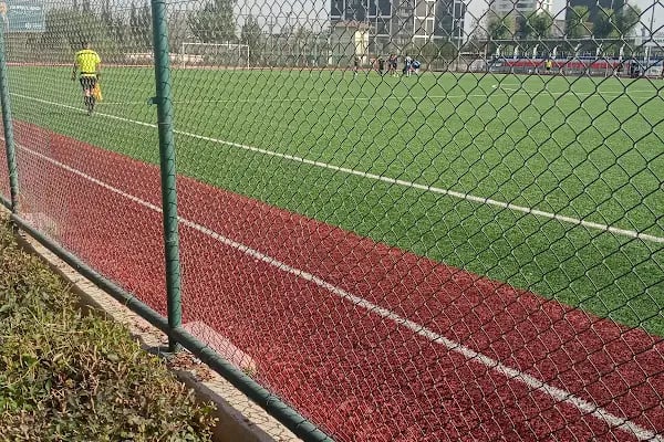 Seyfi Ali Türkoğlu - Şafak Erdur Futbol Sahası (Akdeniz Belediyesi) - Resim 16