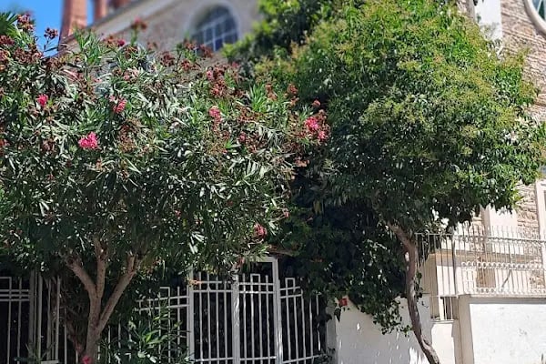 Büyükada Merkez Aile Sağlık Merkezi - Resim 14