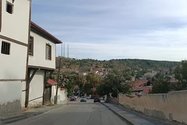 Merkez Ulu Cami - Resim 3