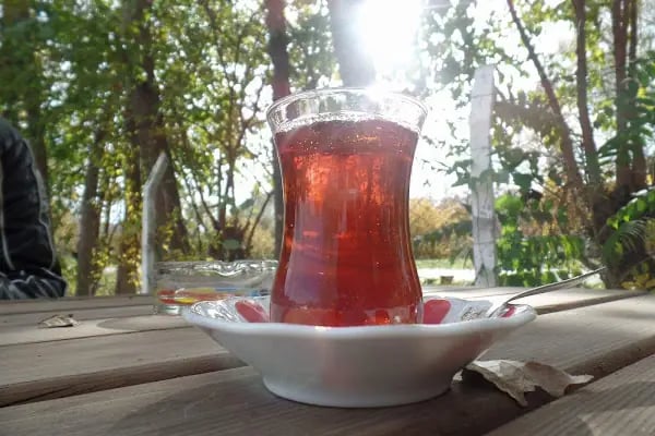 Ortaköy At Çiftliği - Resim 19