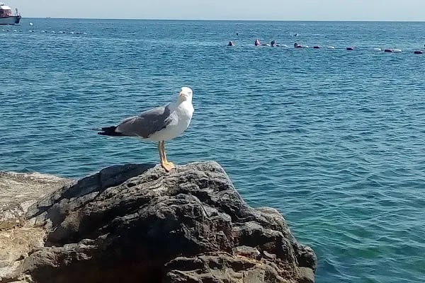 Sedef Adası Plajı - Resim 20