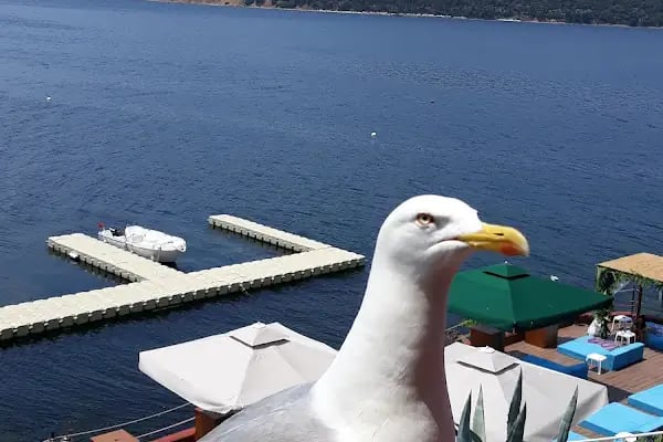 Sedef Adası Plajı - Resim 10