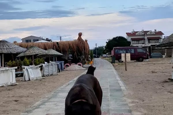 Altın Kumsal Sitesi - Resim 13