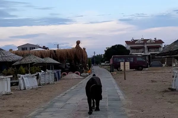 Altın Kumsal Sitesi - Resim 5