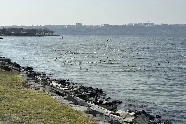 İBB Küçükçekmece Göl Parkı - Resim 4