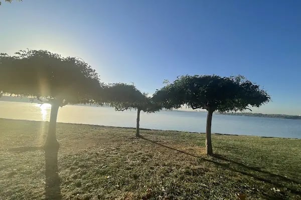 İBB Küçükçekmece Göl Parkı - Resim 13