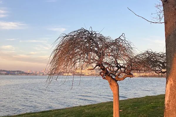 İBB Küçükçekmece Göl Parkı - Resim 15