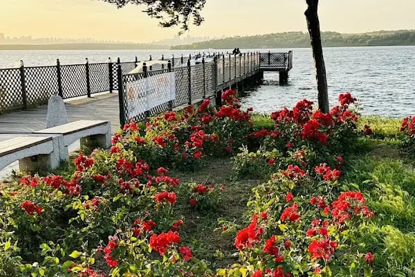 İBB Küçükçekmece Göl Parkı - Resim 19