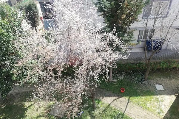 Çağdaş Yaşam Sitesi - Resim 8