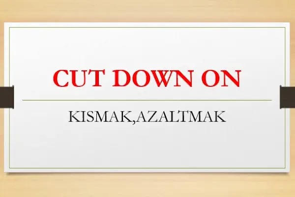 Teol Dil Okulları Atakum Şubesi - Resim 20