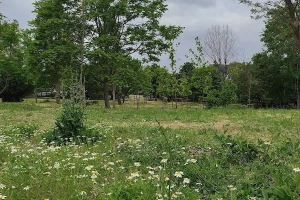 Atatürk ormanı çocuk park alanı - Resim 20