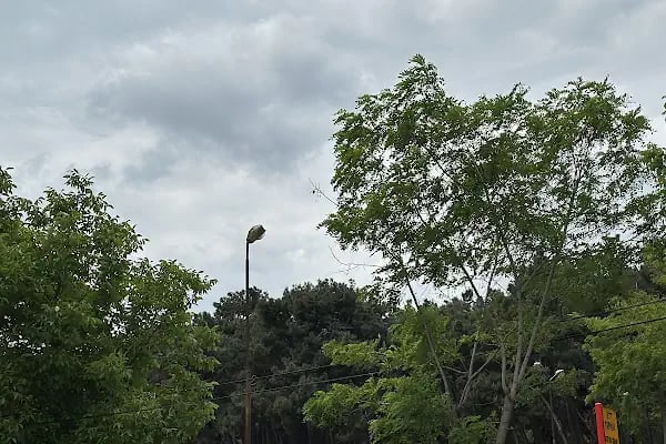 Atatürk ormanı çocuk park alanı - Resim 11