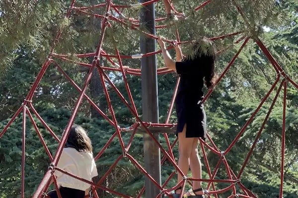 Atatürk ormanı çocuk park alanı - Resim 16