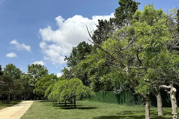 Atatürk ormanı çocuk park alanı - Resim 15