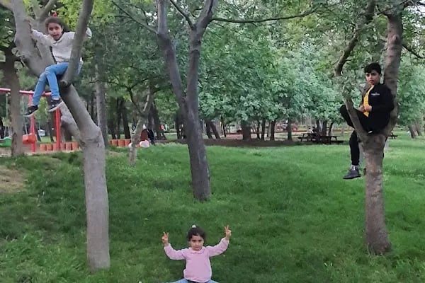 Atatürk ormanı çocuk park alanı - Resim 9