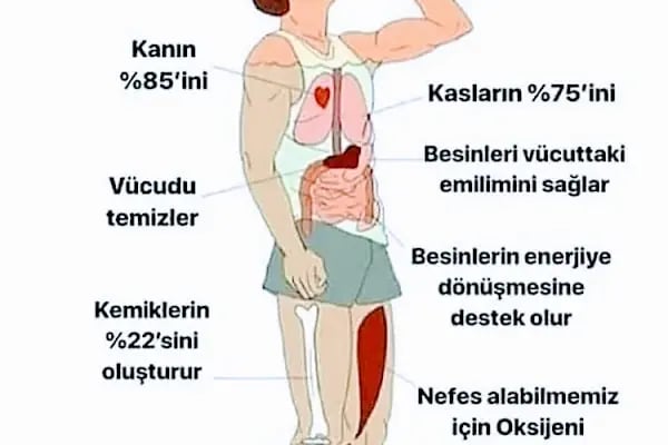 Sporium Spor Salonu (BAYANLARA ÖZEL) - Resim 19