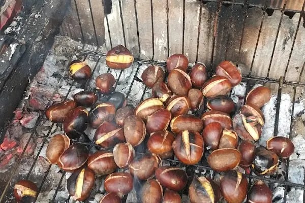 KOÇ YEDDİEMİN - Resim 15
