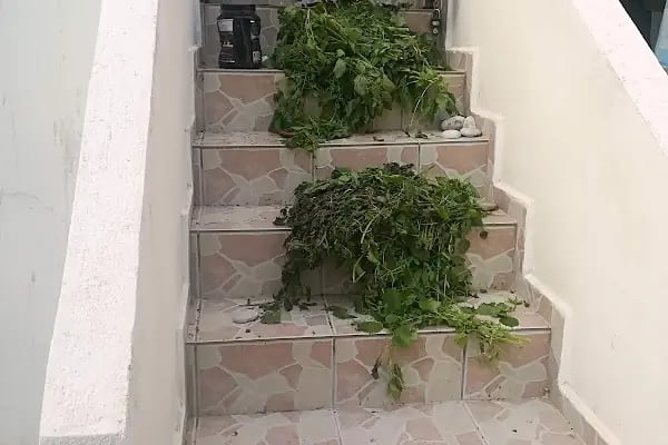 Demirci M. Ünlü Sitesi - Resim 4