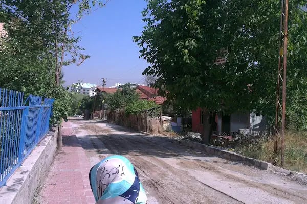 Ali Ersoy Mahallesi Cami - Resim 6