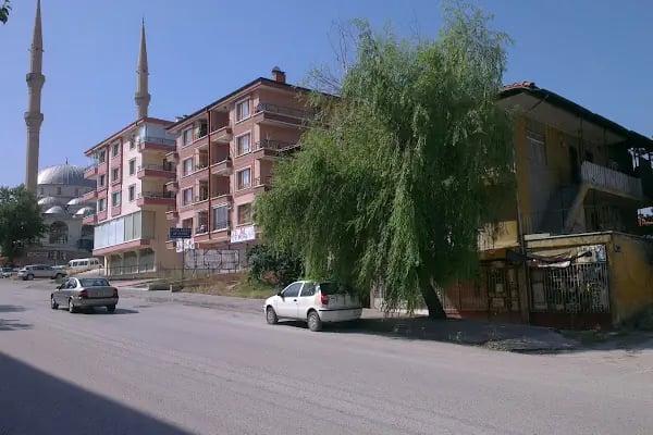 Ali Ersoy Mahallesi Cami - Resim 5