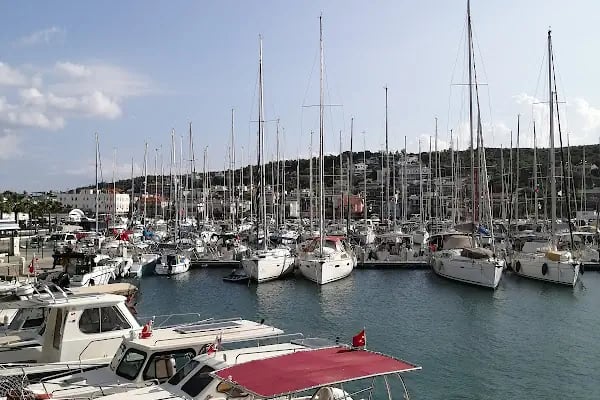 Teos Marina İşletme ve Ticaret A.Ş. - Resim 9