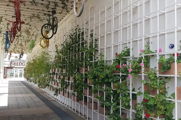 Teos Marina İşletme ve Ticaret A.Ş. - Resim 8