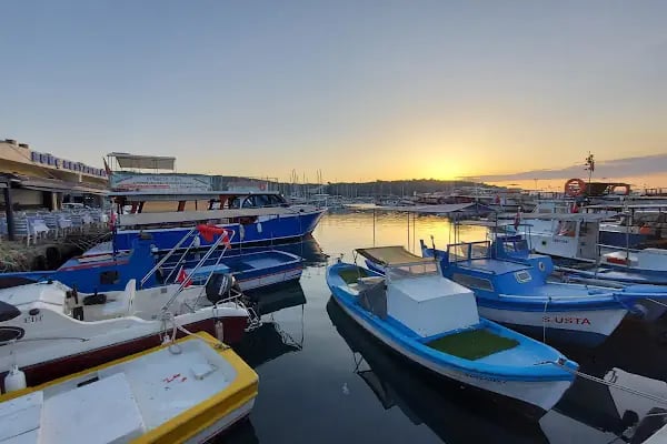 Teos Marina İşletme ve Ticaret A.Ş. - Resim 7