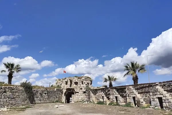Teos Marina İşletme ve Ticaret A.Ş. - Resim 20