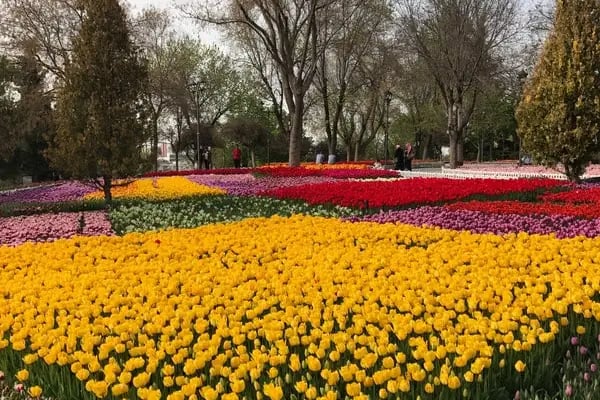 Alaaddin Tepesi Parkı - Resim 9