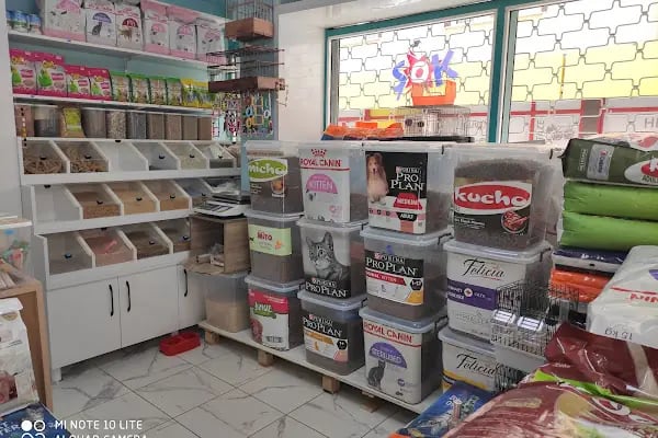 Sahi Petshop - Resim 4
