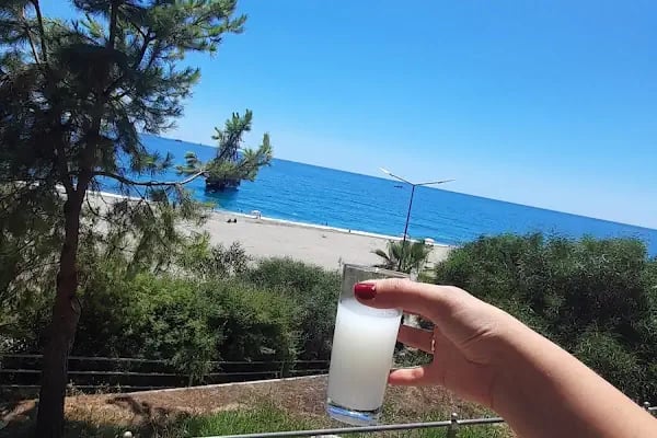 Ulaş Mesire Piknik Alanı - Resim 20