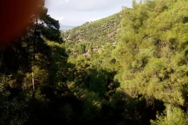 Dogal Tatil yeri - Resim 7