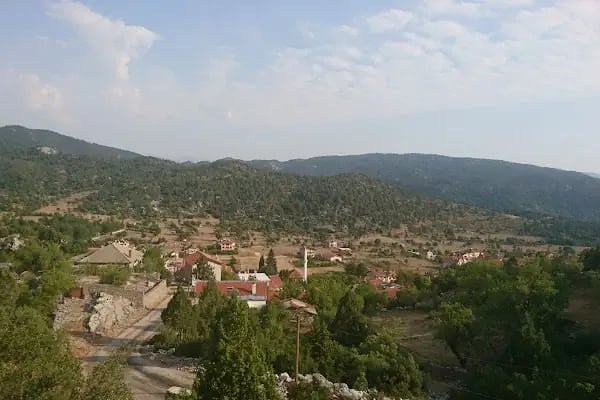 Susuzşahap - Resim 2