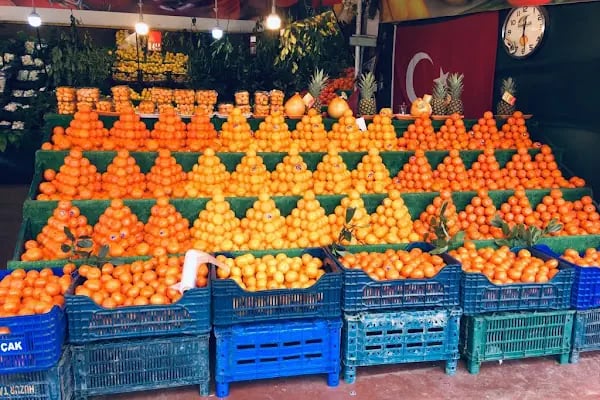 ÇİFÇİ KARDEŞLER MANAV - Resim 3