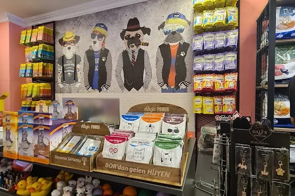 PatiÇarşı PetShop Yaşamkent - Resim 11
