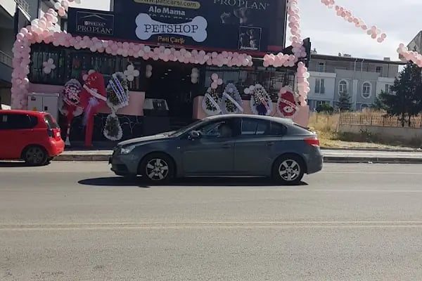 PatiÇarşı PetShop Yaşamkent - Resim 17