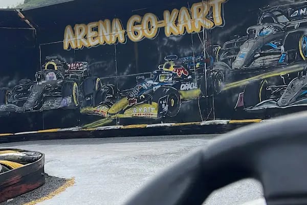 Trabzon Yıldızlı Arena Go Kart - Resim 11