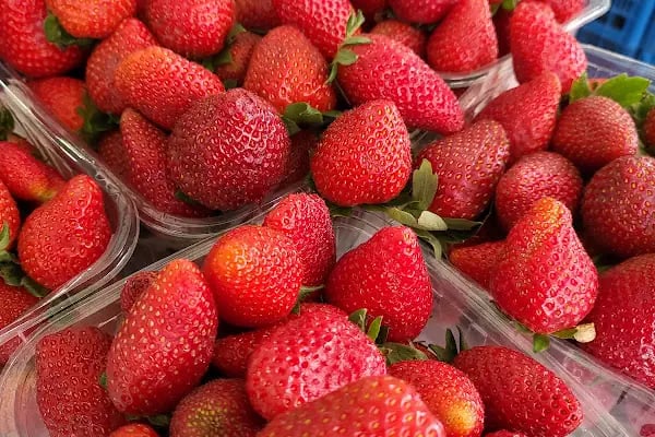 Seç Market güvenoğlu - Resim 8