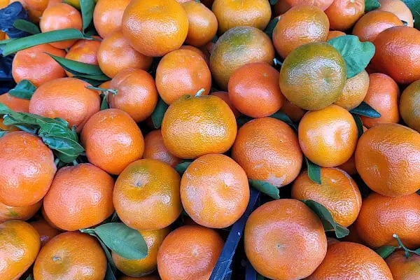 Seç Market güvenoğlu - Resim 13
