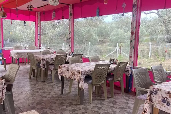 Güneşli Günler Çiftliği - Resim 1