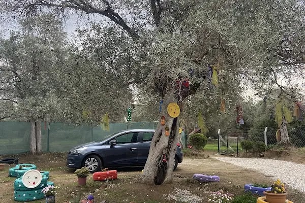 Güneşli Günler Çiftliği - Resim 3